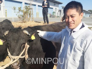 参院予算委員会の伊勢志摩視察。松阪牛の飼育農家で辰巳氏＝８日、三重県松阪市内