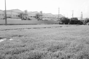摂津市一津屋２丁目から見たダイキン工業淀川製作所（同市西一津屋）