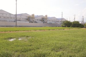 摂津市一津屋2丁目から見たダイキン工業淀川製作所(7月13日撮影)